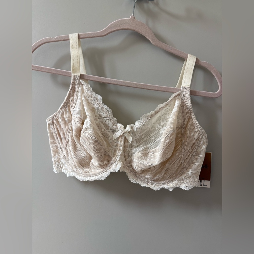 NWT lace bra